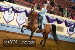 21YN_72732 thumbnail