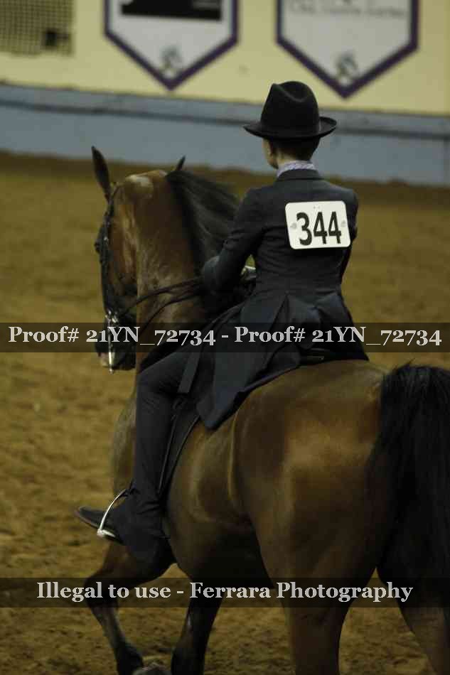 Proof Number 21YN_72734