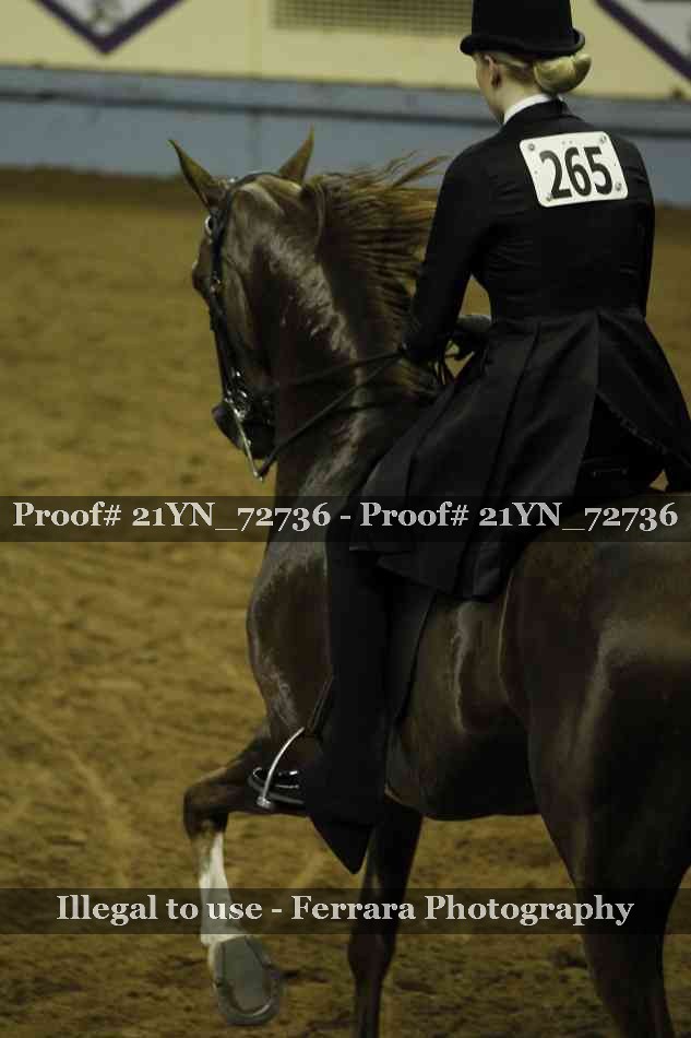 Proof Number 21YN_72736