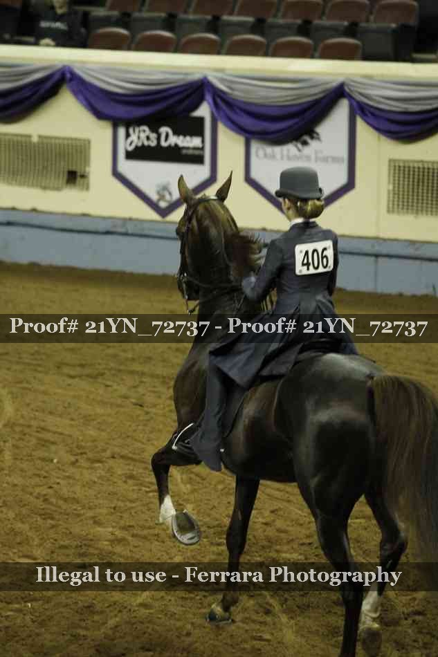 Proof Number 21YN_72737