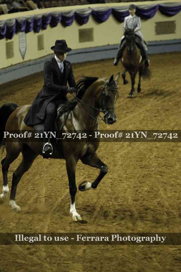Proof Number 21YN_72742