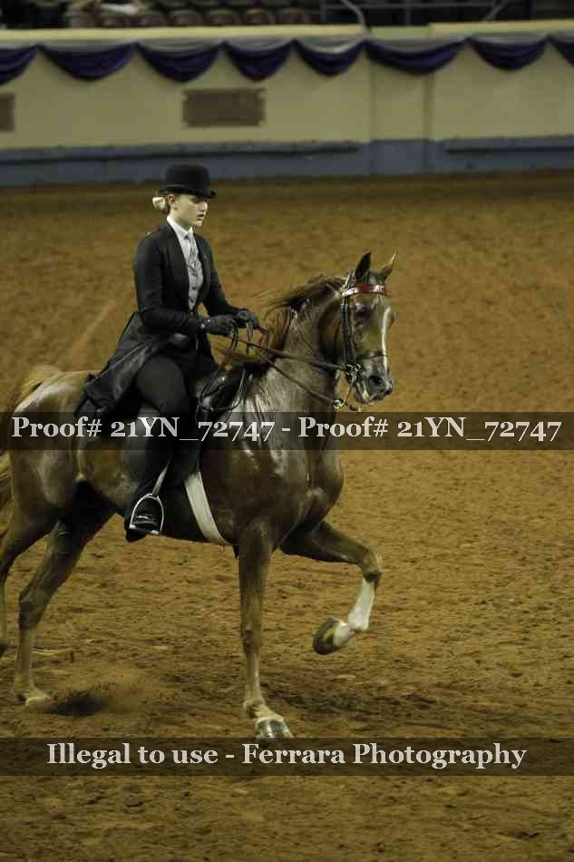 Proof Number 21YN_72747