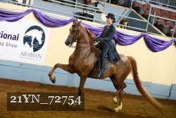 21YN_72754 thumbnail