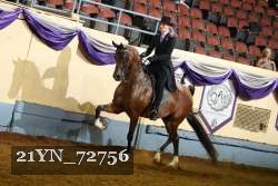 21YN_72756 thumbnail