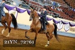 21YN_72761 thumbnail
