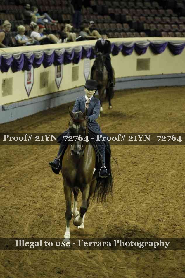 Proof Number 21YN_72764