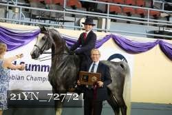 21YN_72772 thumbnail
