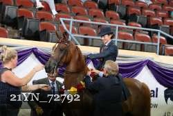 21YN_72792 thumbnail