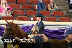 21YN_72797 thumbnail