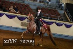 21YN_72799 thumbnail