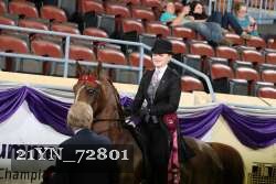 21YN_72801 thumbnail