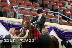 21YN_72802 thumbnail