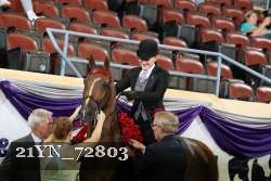 21YN_72803 thumbnail