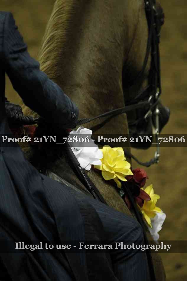 Proof Number 21YN_72806