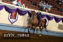 21YN_72812 thumbnail