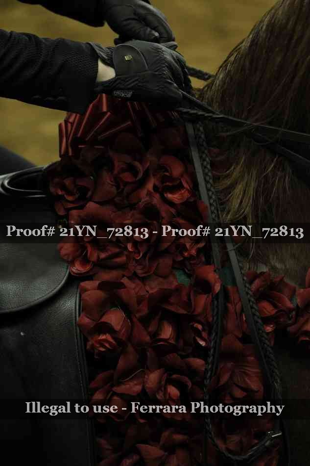 Proof Number 21YN_72813