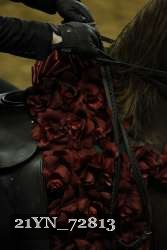 21YN_72813 thumbnail