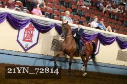 21YN_72814 thumbnail