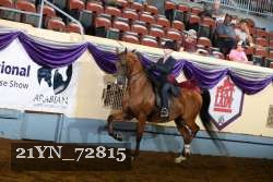 21YN_72815 thumbnail