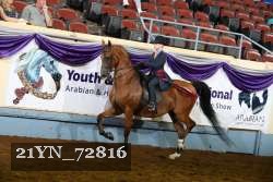21YN_72816 thumbnail