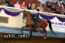 21YN_72817 thumbnail
