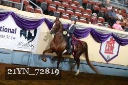 21YN_72819 thumbnail