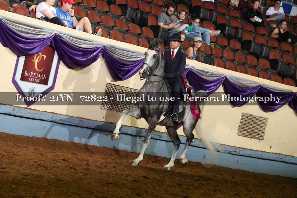 Proof Number 21YN_72822