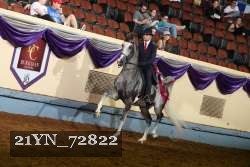 21YN_72822 thumbnail