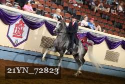 21YN_72823 thumbnail