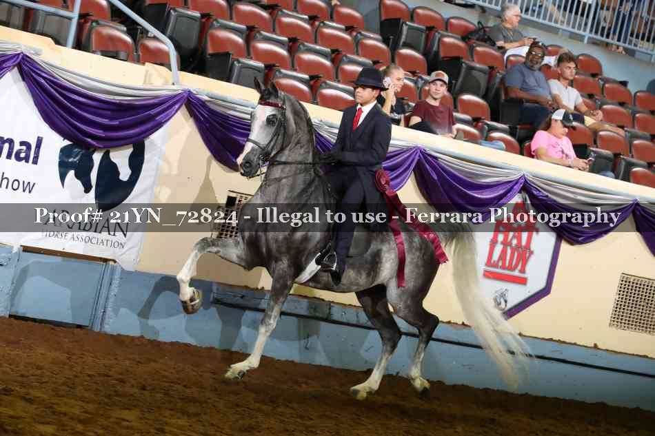 Proof Number 21YN_72824