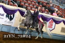 21YN_72824 thumbnail