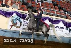 21YN_72825 thumbnail
