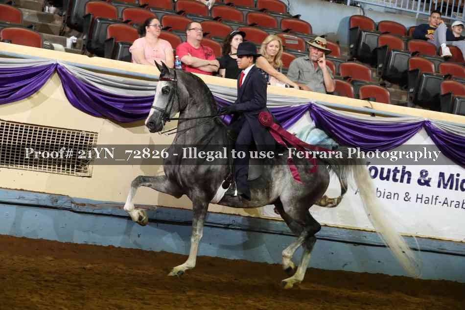 Proof Number 21YN_72826