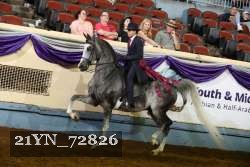 21YN_72826 thumbnail