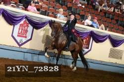 21YN_72828 thumbnail