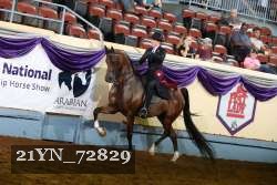 21YN_72829 thumbnail