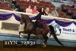 21YN_72831 thumbnail