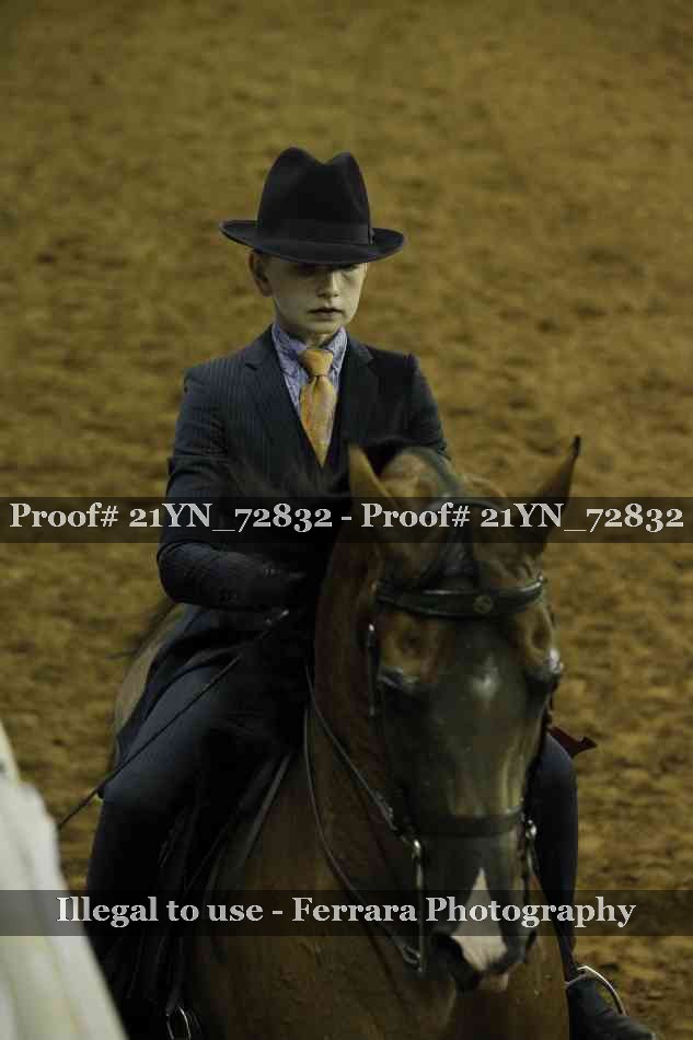 Proof Number 21YN_72832