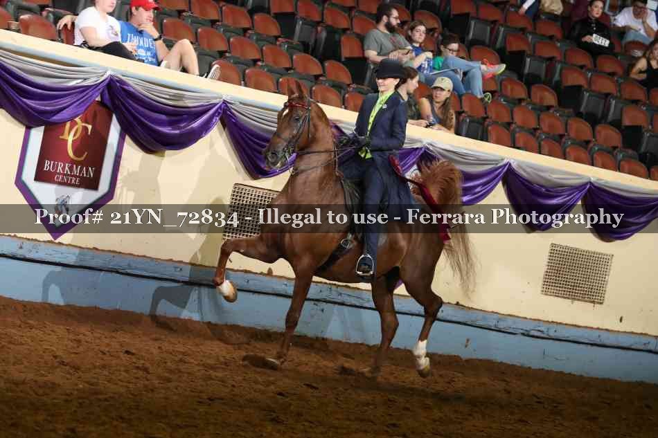 Proof Number 21YN_72834