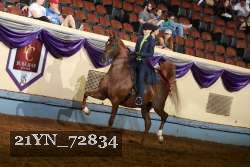 21YN_72834 thumbnail