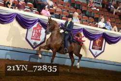 21YN_72835 thumbnail