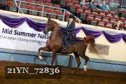 21YN_72836 thumbnail