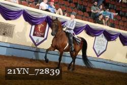 21YN_72839 thumbnail