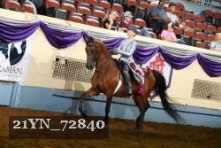 21YN_72840 thumbnail
