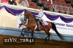 21YN_72841 thumbnail