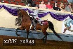 21YN_72843 thumbnail
