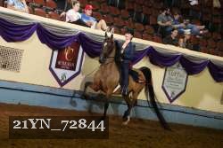 21YN_72844 thumbnail