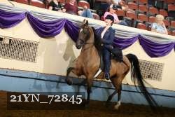 21YN_72845 thumbnail