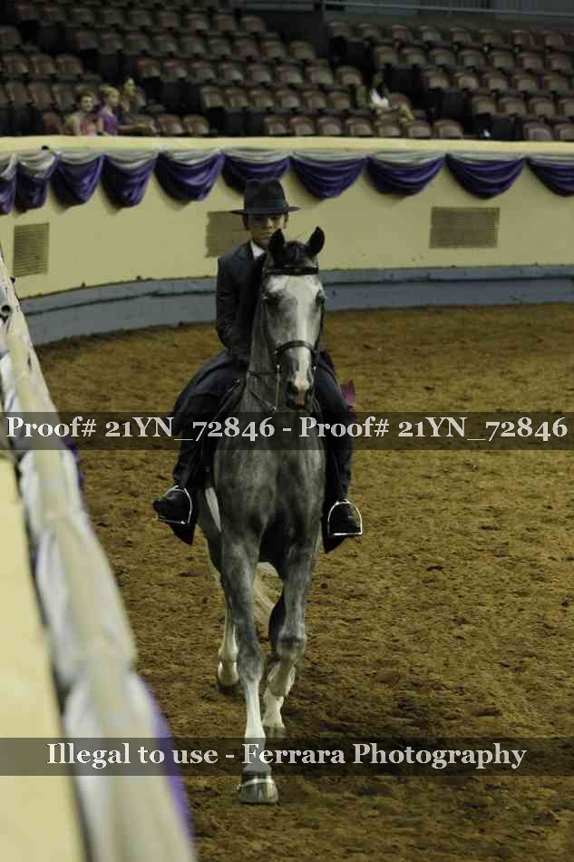 Proof Number 21YN_72846