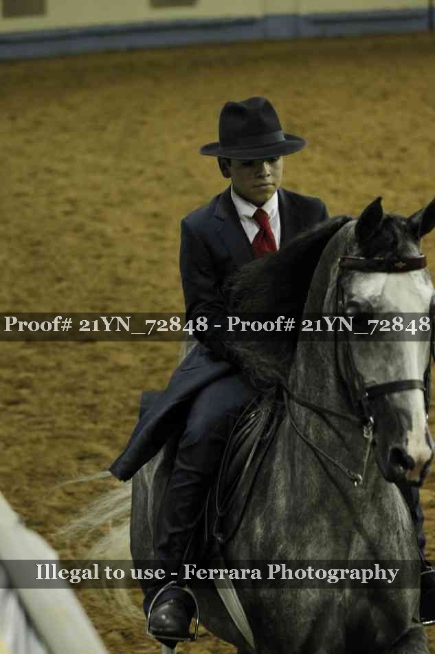 Proof Number 21YN_72848